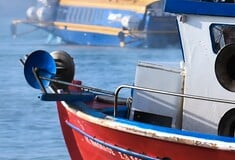 ΚΑΛΥΜΝΟΣ ΝΕΚΡΟΣ ΨΑΡΑΣ ΣΥΛΛΗΨΗ