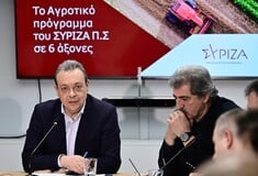 ΦΑΜΕΛΛΟΣ ΠΟΛΑΚΗΣ ΔΙΑΓΡΑΦΗ ΣΥΡΙΖΑ