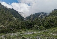 Όλυμπος: Αγνοούμενος παραμένει ο 25χρονος ορειβάτης - «Του έγιναν συστάσεις να μην ξεκινήσει την ανάβαση»