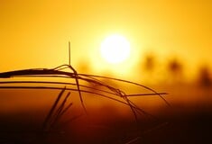 ΑΓΓΛΙΑ ΖΕΣΤΗ ΚΛΙΜΑΤΙΚΗ ΑΛΛΑΓΗ