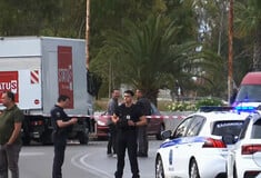 ΠΥΡΟΒΟΛΙΣΜΟΙ ΜΙΚΡΟΛΙΜΑΝΟ