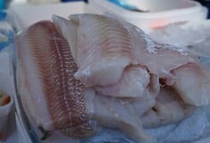 ΕΦΕΤ ΑΝΑΚΛΗΣΗ ΠΡΟΪΟΝΤΟΣ ΨΑΡΙ