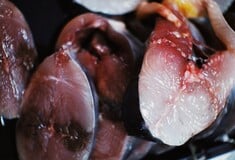 ΕΦΕΤ ΑΝΑΚΛΗΣΗ ΠΡΟΪΟΝΤΟΣ ΚΑΤΕΨΥΓΜΕΝΟ ΨΑΡΙ