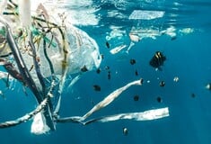 ΧΕΙΡΟΤΕΡΟ ΑΠΟΒΛΗΤΟ ΧΗΜΙΚΑ