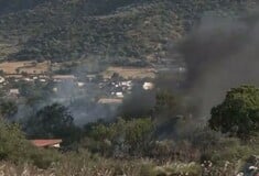 Φωτιά στη Λάρισα: Πνέουν δυνατοί άνεμοι και έχουν καεί εκατοντάδες στρέμματα