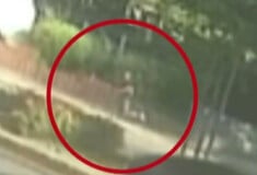 ΦΥΛΑΚΕΣ ΚΟΡΥΔΑΛΛΟΥ ΚΡΑΤΟΥΜΕΝΟΣ ΑΠΟΔΡΑΣΗ
