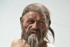 ΑΝΘΡΩΠΟΣ ΤΩΝ ΠΑΓΩΝ OTZI ΨΩΜΙ