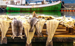 Ακολουθώντας τα (γαστρονομικά) ίχνη του μπακαλιάρου