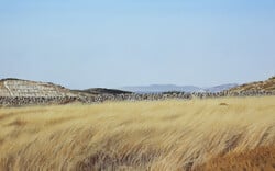 Το «Πλέγμα των Κυκλάδων» και μια έκθεση που μας ταξιδεύει στις διαχρονικές του συνδέσεις