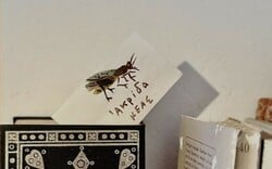 Αποκαλόκαιρο στο Ατελιέ του Αλέκου Φασιανού στην Κέα