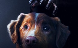 «Good Boy»: Ναι, ο σκύλος σας βλέπει φαντάσματα» ΟΙ ΥΠΟΛΟΙΠΟΙ ΤΙΤΛΟΙ ΣΤΟ ΤΕΛΟΣ ΤΟΥ ΚΕΙΜΕΝΟΥ