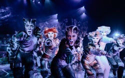 Το θρυλικό CATS έρχεται σε Αθήνα & Θεσσαλονίκη – και είναι πιο εντυπωσιακό από ποτέ