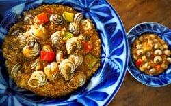 ΕΠΕΞ Οι χοχλιοί ξυπνούν μέσα μας τον σύγχρονο τροφοσυλλέκτη