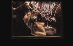 Η Prime Entertainment σμιλεύει το θεατρικό τοπίο του χειμώνα