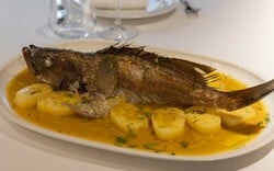 Όχι άλλη σφυρίδα! 