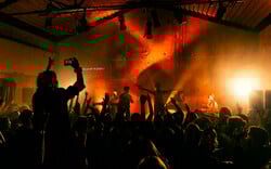 Αυτοοργάνωση, πολυμορφία και δημιουργία