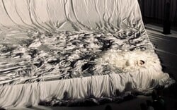 Η ποπ κοσμογονία της Rosalía/ Η κοσμογονική ποπ της Rosalía