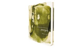 Στέργιος Φωτόπουλος: «Ρωγμή»