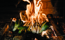 Ξαναβρίσκουμε την ουσία του καλού φαγητού στην αθηναϊκή εστίαση