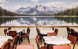 Γιατί μιλάνε όλοι για τη Ζιγκοάλα;