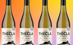 Santa Thecla 2022: Ένα κρασί που αξίζει να δοκιμάσεις