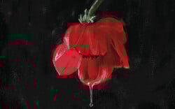 Όταν η μόνη επιλογή που έχεις είναι η εκδίκηση