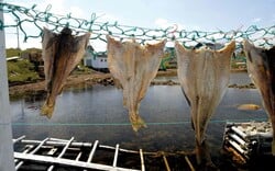 Ακολουθώντας τα (γαστρονομικά) ίχνη του μπακαλιάρου στη βόρεια Ισπανία