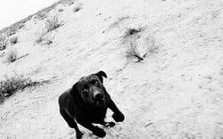 Μουσικάρες για ένα Σάββατο. Ο Στάθης Τσαγκαρουσιάνος επιλέγει.