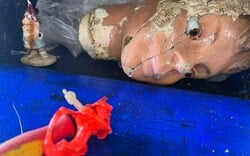 «Συνέχεια Come Back!»: Ο Κοσμάς Λιλικάκης επιστρέφει στο Fougaro Artcenter