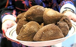 Ντερμπιγιές και μπουστιά, τα αποσυνάγωγα του πασχαλινού τραπεζιού