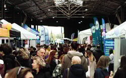 Cat Festival 2026: Η μεγαλύτερη γιορτή της γάτας επιστρέφει στην Αθήνα