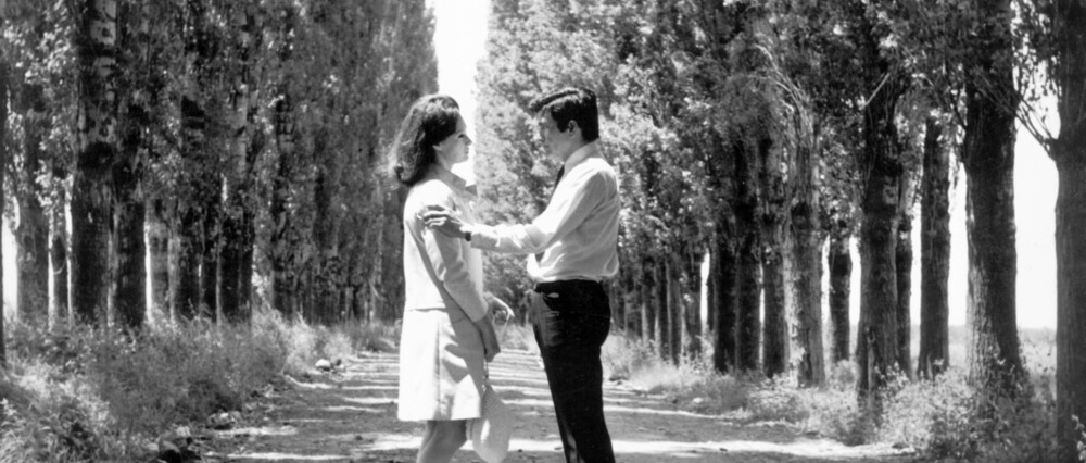 Σημειώσεις με αφορμή ένα ερείπιο: για τον Τάκη Κανελλόπουλο