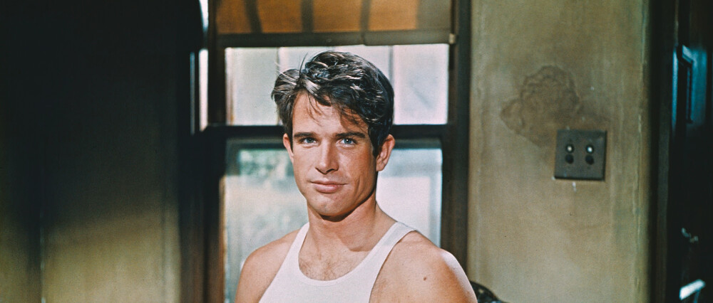 Warren Beatty 
