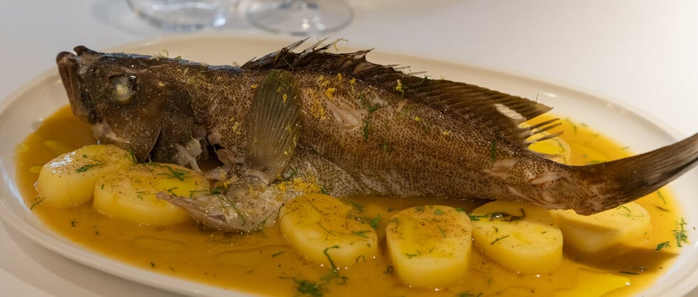 Όχι άλλη σφυρίδα!