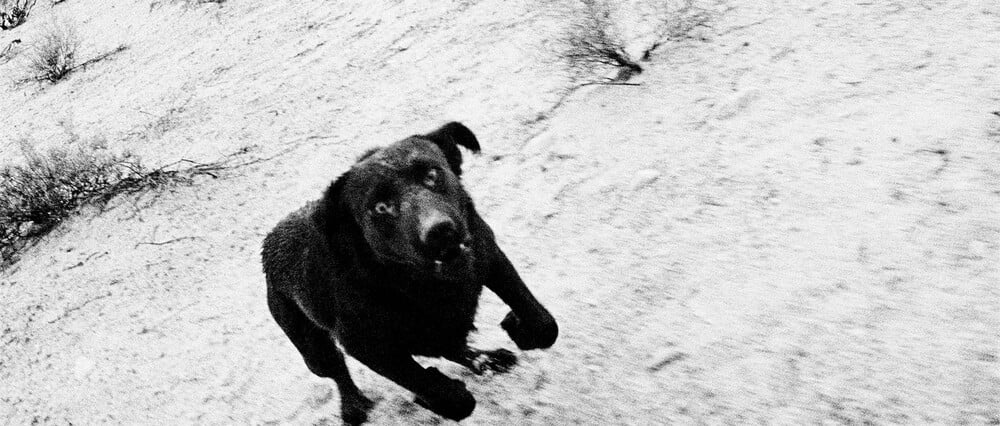 Μουσικάρες για ένα Σάββατο. Ο Στάθης Τσαγκαρουσιάνος επιλέγει.