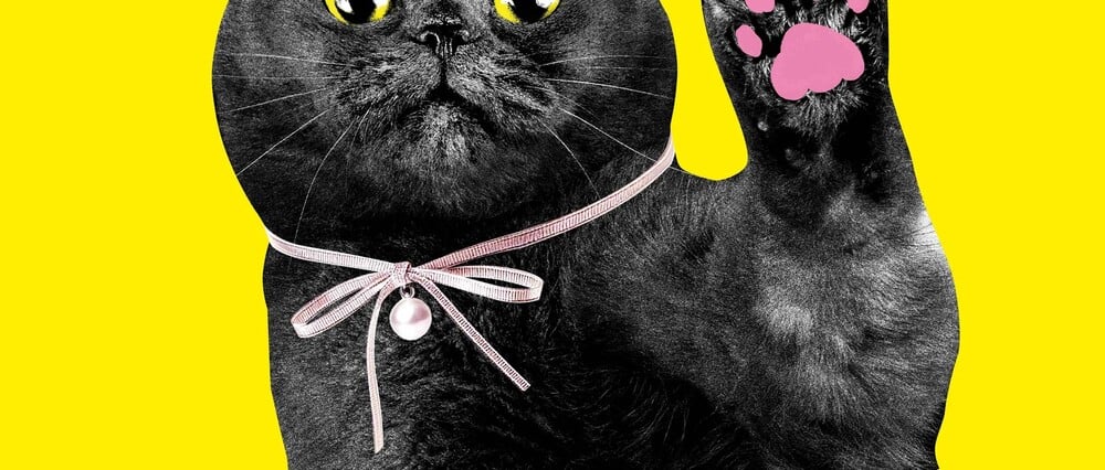 «CATS!»: Η γάτα ως λατρευτικό αντικείμενο και σύμβολο της ποπ κουλτούρας