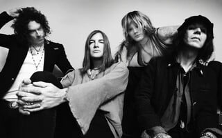 THE DANDY WARHOLS