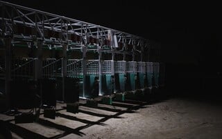 Τζάνις Ραφα: We Betrayed the Horses / Εμείς που Προδώσαμε τα Άλογα 