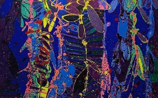 Peter Reginato: CHROMA