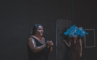 Σαν άγριο άλογο