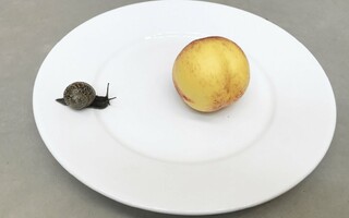 Juergen Teller: you are invited