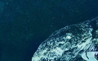 MRI Festival: Μετά το χτύπημα η σιωπή, κι όσα χωρούν εκεί