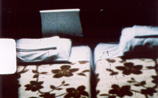 Disappearing act / second life