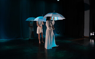 Ο Λίθος της Τρέλας 