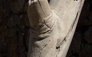 Ανδρέας Λόλης: Accidental Monuments