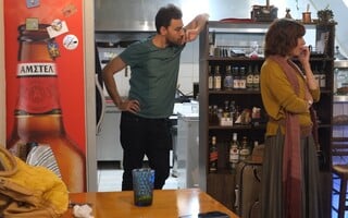 Η σκιά της μύγας