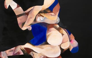 Ελένη Αρβανίτη: Takedown (or submissions)