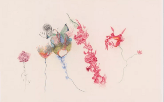 Βαλεντίνα Μπαρτολίνι: Belly of the Fish