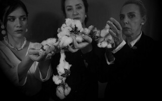 Στο Εκκοκκιστήριο