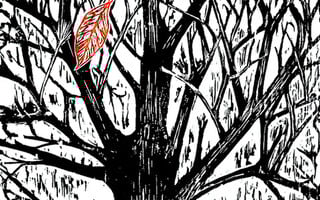 Στον Μίκη Θεοδωράκη